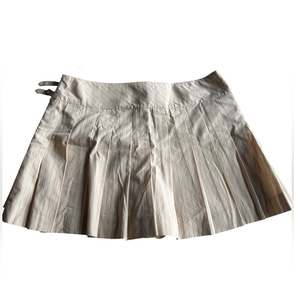 ZARA Pleaded Stripe Skirt